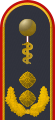 Dienstgradabzeichen eines Generalstabsarztes (Approbation für Humanmedizin) auf dem Schulterstück der Jacke des Dienstanzuges für Luftwaffenuniformträger