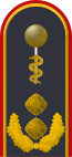 Dienstgradabzeichen auf der Schulterklappe der Jacke des Dienstanzuges für Luftwaffenuniformträger (Humanmedizin).