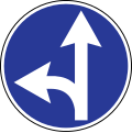 Straight ahead or left turn permitted