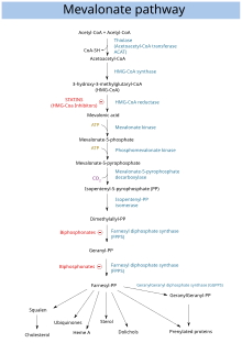 Chemical flow chart