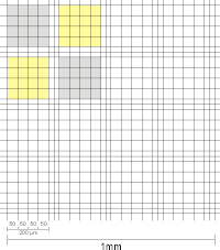 Gruppenquadrate der alten Neubauer