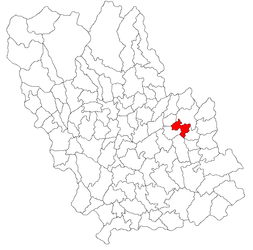 Location in Prahova County