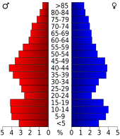 Bevolkingspiramide Pulaski County