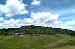 Cadapdapan Rice Terraces