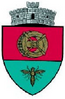 Coat of arms of Satu Mare