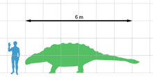 Bayang luar manusia ditindan pada bayang luar Ankylosaurus