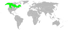 Mapa występowania