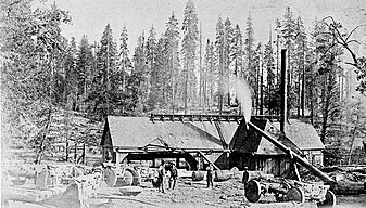 The lumber mill at Nelder Grove around 1881.