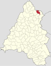 Location in Bihor County