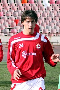 Aleksandar Tonev