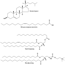 Common lipids lmaps uk.png