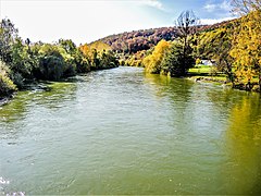 Le Doubs, en amont du pont de Bourguignon