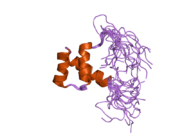 2djn: The solution structure of the homeobox domain of human Homeobox protein DLX-5