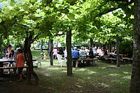 Garden of an osteria in Giumaglio, in the Italian-speaking Canton Ticino, Switzerland