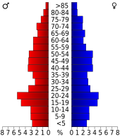 Bevolkingspiramide Brewster County