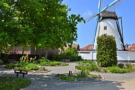 Parc et Briekenmolen