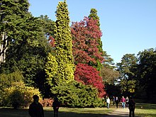 Westonbirt Arboretum, Gloucestershire