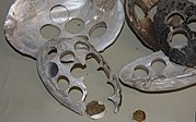 Clam shells used for making buttons