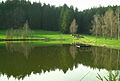 The Tannschorrenweiher on the Haslach Plateaux between Haslach and Tannheim