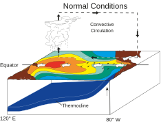 Normalphase. Die Walker-Zirkulation schiebt warmes Oberflächenwasser nach Westen. Kaltes Tiefenwasser wird vor der Küste Südamerikas nach oben gespült. (NOAA / PMEL / TAO)