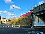 安城支線跡地（左側の道路）