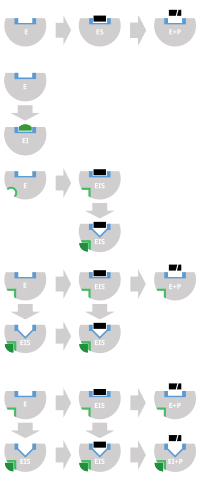 schematic diagram of the three types of reversible inhibitors