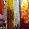 Variae Tagetes cuidam deo dona per Maha Shivaratri, ferias Hinduisticas