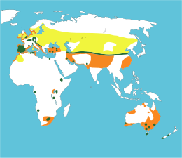 Distribución del somorguyu lavanco.