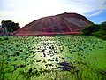 View of lotus pond below from Samanar Hills top