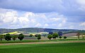 Blick vom Donaugraben Richtung Rohrwald