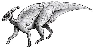 Parasaurolophus walkeri