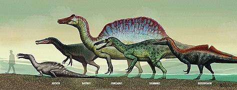 Spinosauridlerin boyut karşılaştırması
