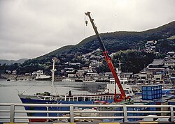 Tsushima Limanı (1990)