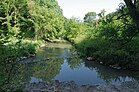 Photogtaphie en couleurs d'un ruisseau entre deux rives arborées.