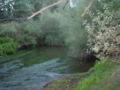 Река в комарке Ла-Моранья