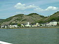 Assmannshausen im Frühling (vom Schiff her betrachtet)