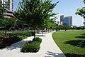 Path and the lawn inside the park