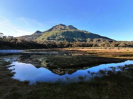 Mount Apo