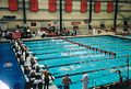 DeNunzio pool, la piscine de l'université