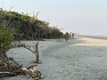 White sand beach in Bakkhali