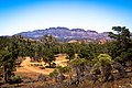 Felsformation in der Flinderskette/South Australia