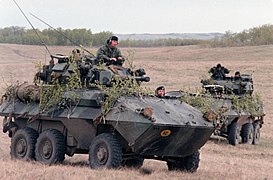 Cougar de l'armée canadienne (1983)