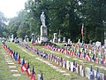 Confederate memorial and graves, Confederate Memorial Day, 2 June 2012