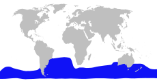 Mesoplodon bowdoini range map