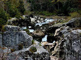 Pertes de la Valserine