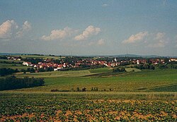 Skyline of Schwaikheim
