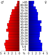 Bevolkingspiramide Camp County