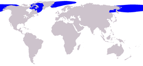 Description de l'image Cetacea range map Bowhead Whale.png.