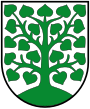 Blason de Homburg