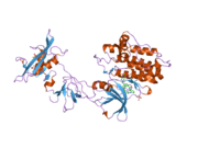 1y57: Structure of unphosphorylated c-Src in complex with an inhibitor